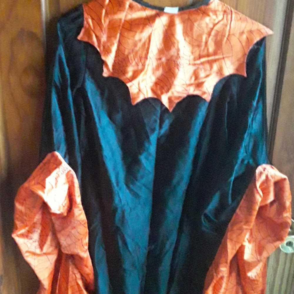 CUSTUME CO. SPIDERMAN  HALLOWEEN  COSTUME - Picture 5 of 6
